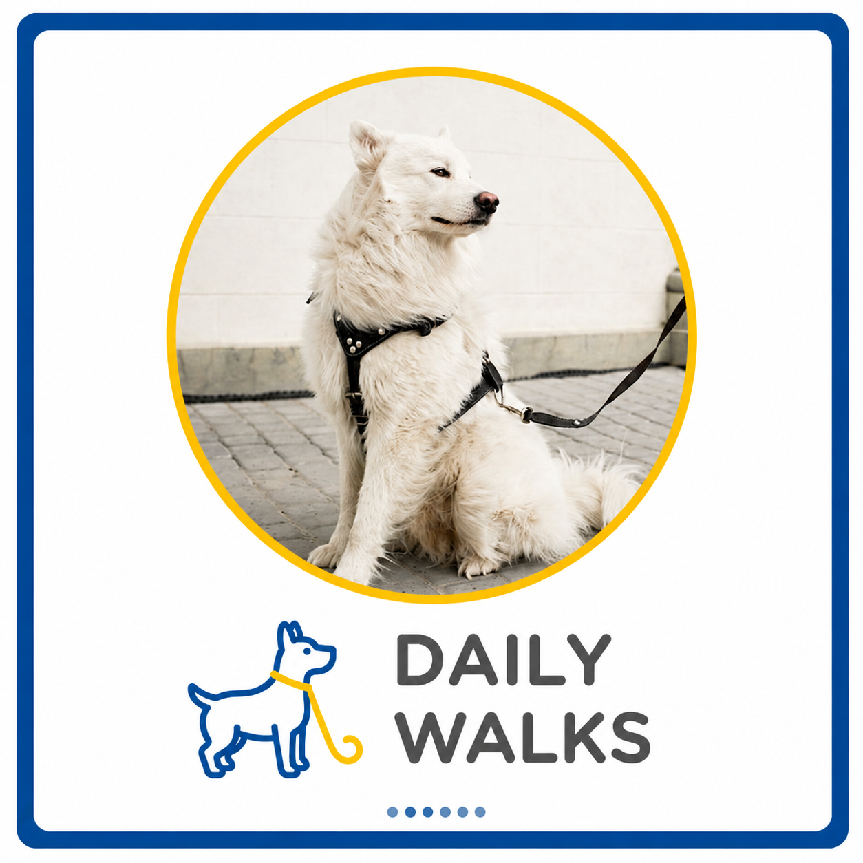 Happy dog enjoying a personalized daily walk