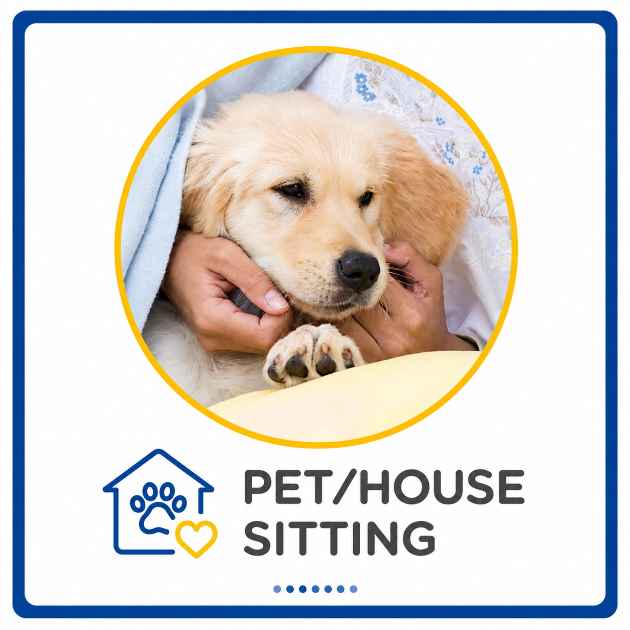 Comfortable dog receiving attentive in-home pet care