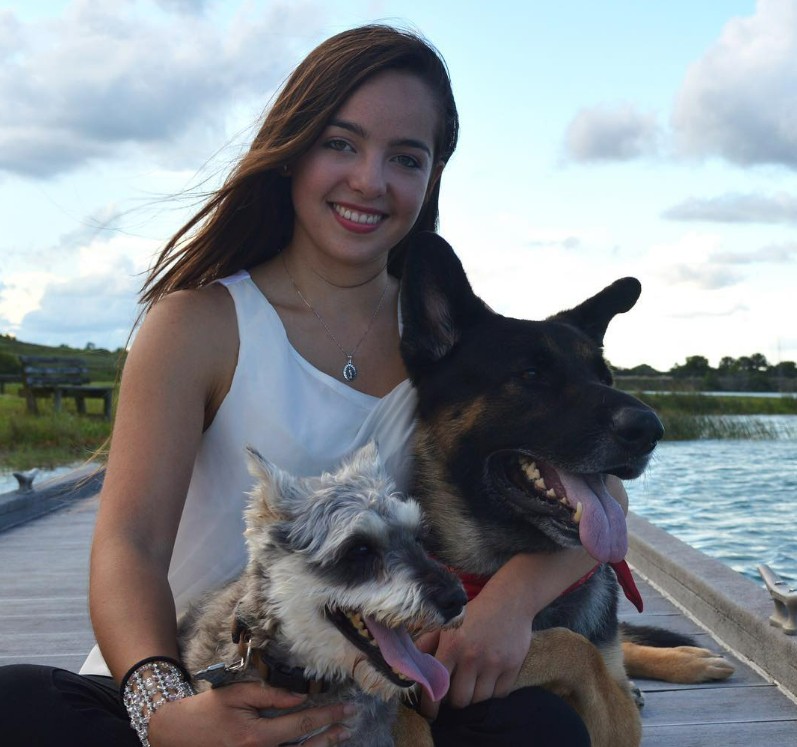 Pet sitter caring for a dog