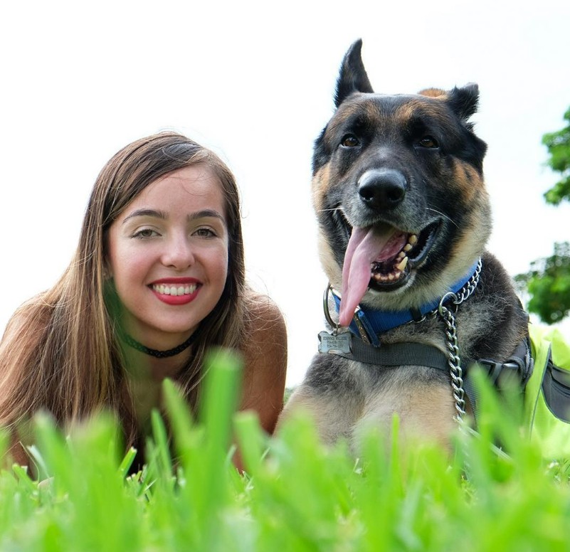 Happy dog during outdoor exercise